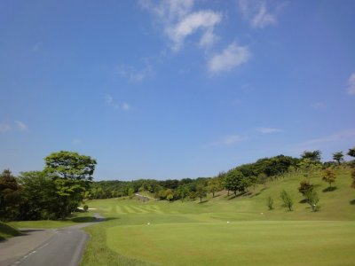 golf79.jpg