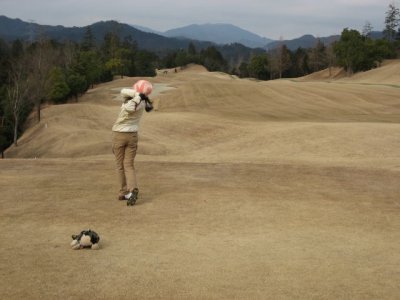 golf15.jpg